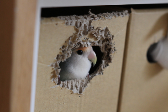 f:id:FUJI3:20131013220041j:image