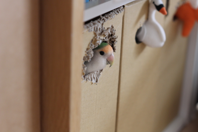 f:id:FUJI3:20131013220042j:image