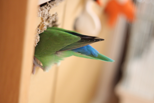 f:id:FUJI3:20131013220043j:image