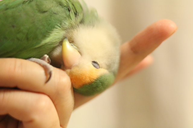 f:id:FUJI3:20141011213116j:image f:id:FUJI3:20141011213116j:image