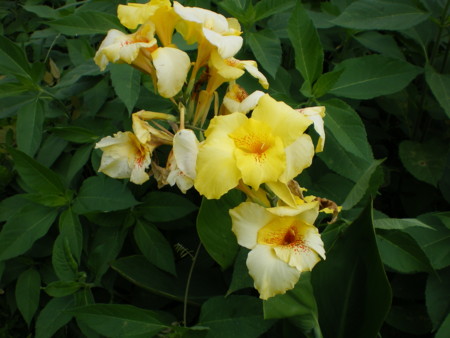 f:id:FUJIKA:20060629100023j:image:w640