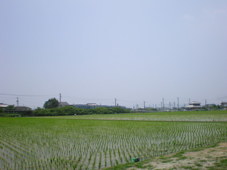 f:id:FUJIKA:20060629121037j:image:w640