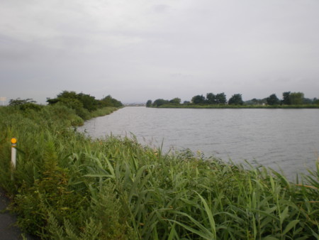 f:id:FUJIKA:20060801055904j:image:w640