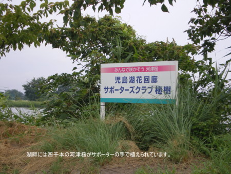 f:id:FUJIKA:20060801060118j:image:w640