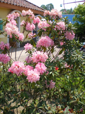 f:id:FUJIKA:20160522134653j:image