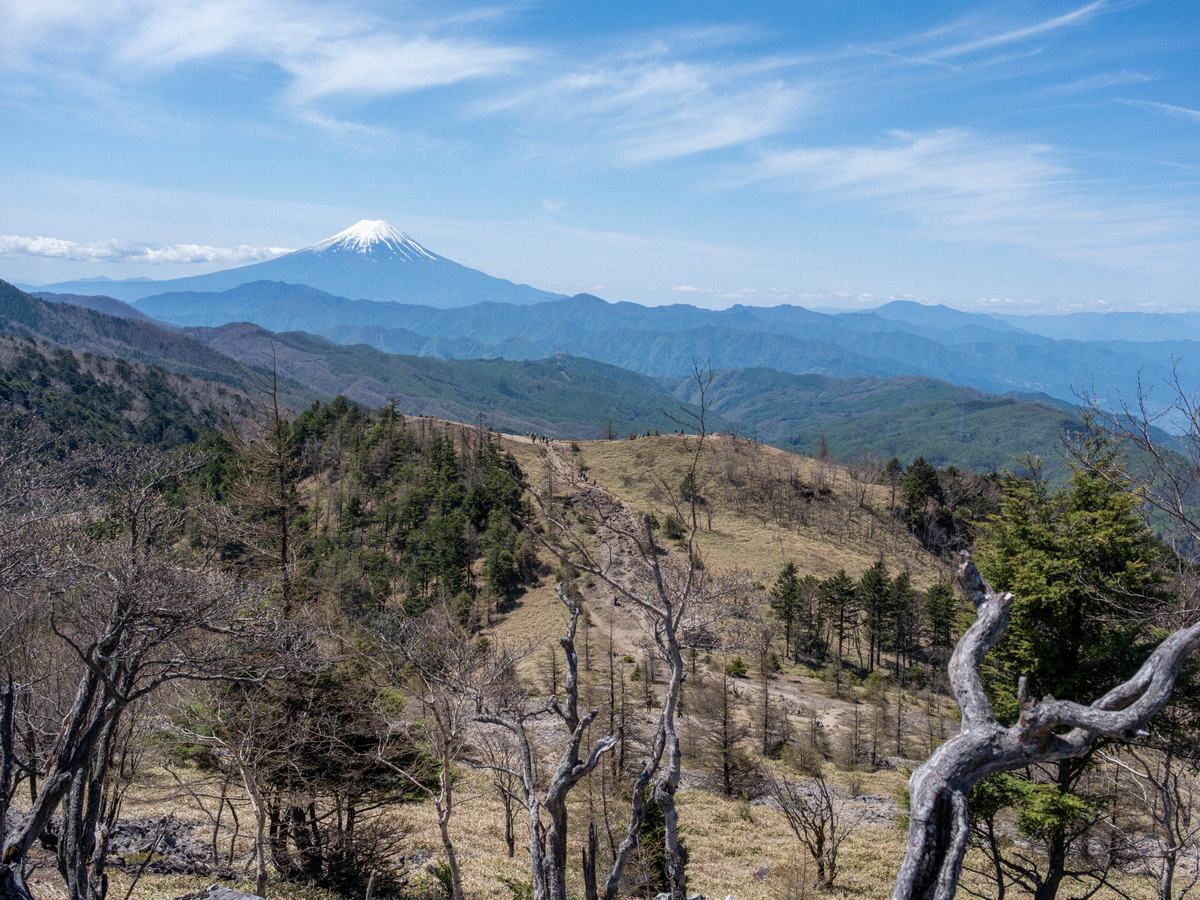 稜線から見える富士山