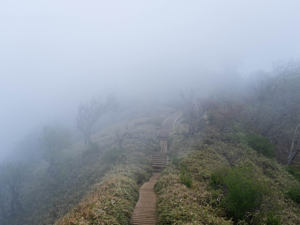 丹沢山の尾根道