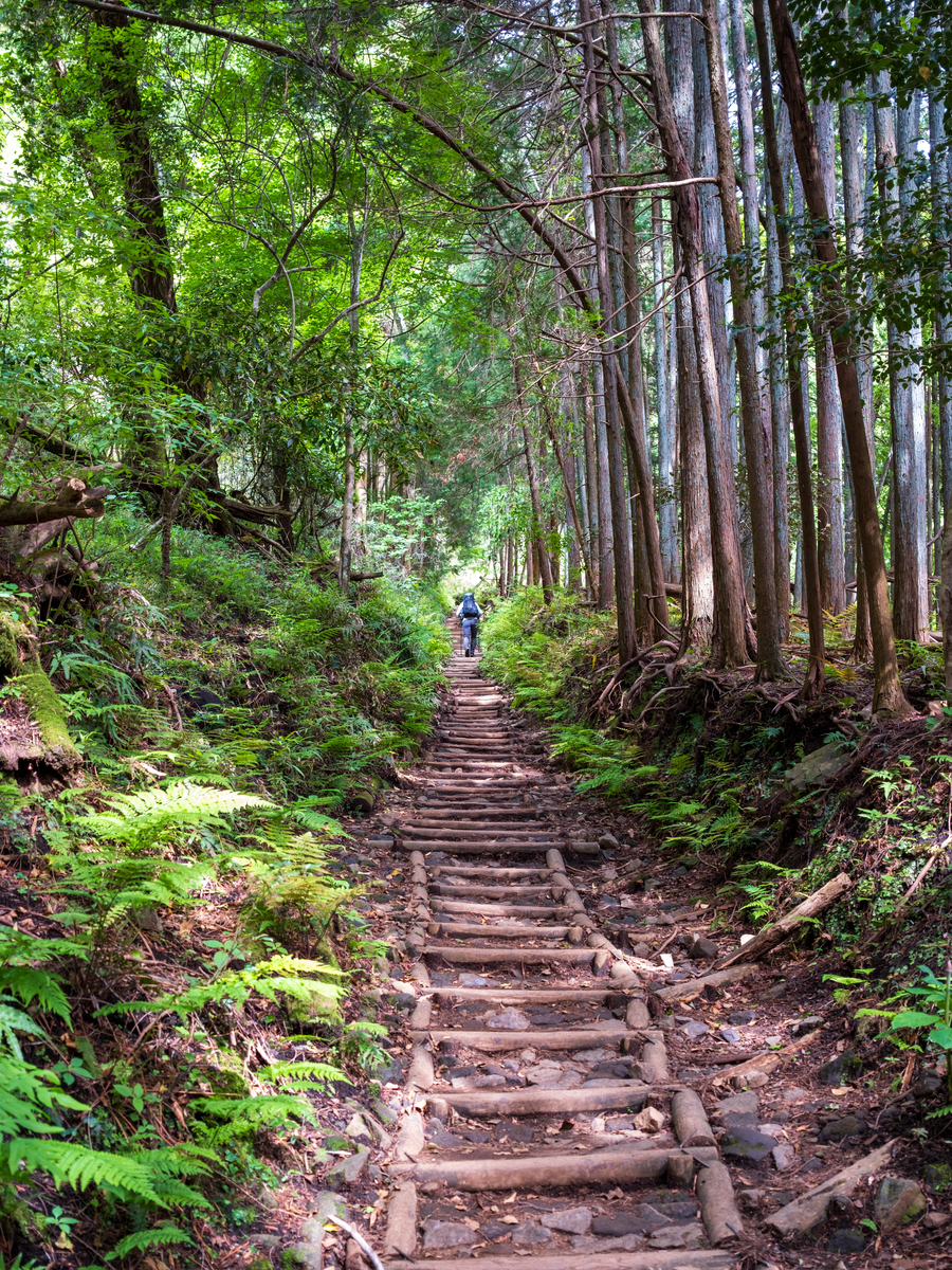 丹沢山