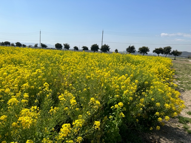 道の駅笠岡ベイファーム