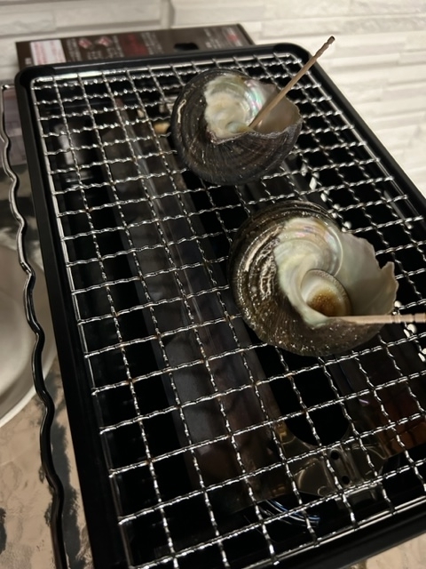 サザエ