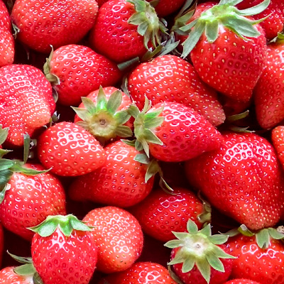 f:id:FULOG:20170125140310j:plain