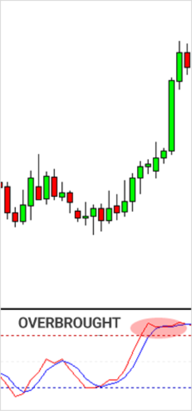5-elementary-04-img02.png