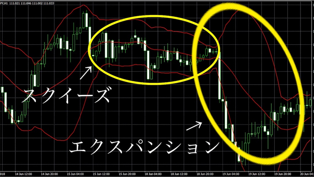 f:id:FXsyaru:20190529150915j:image f:id:FXsyaru:20190529150915j:image