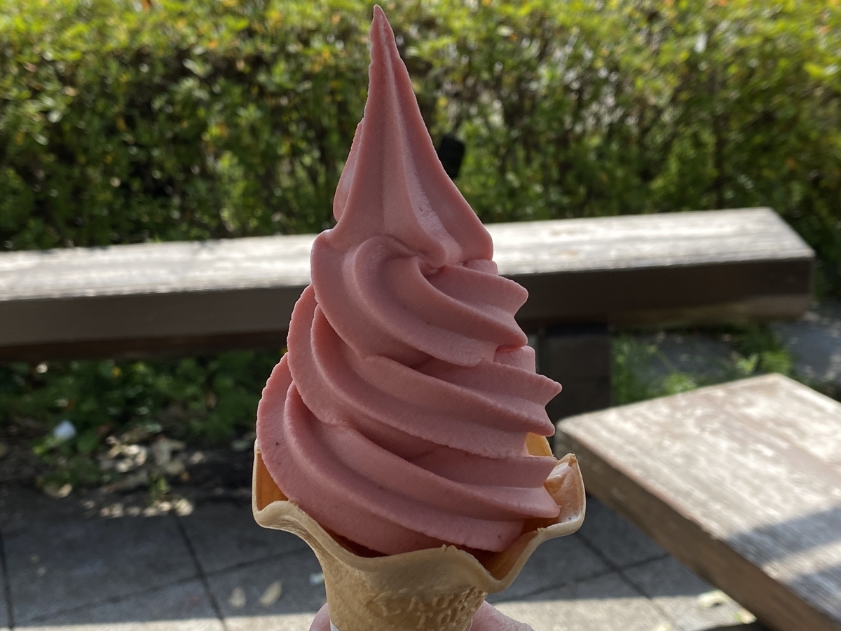 道の駅「いちごの里よしみ」 / いちごソフトクリーム