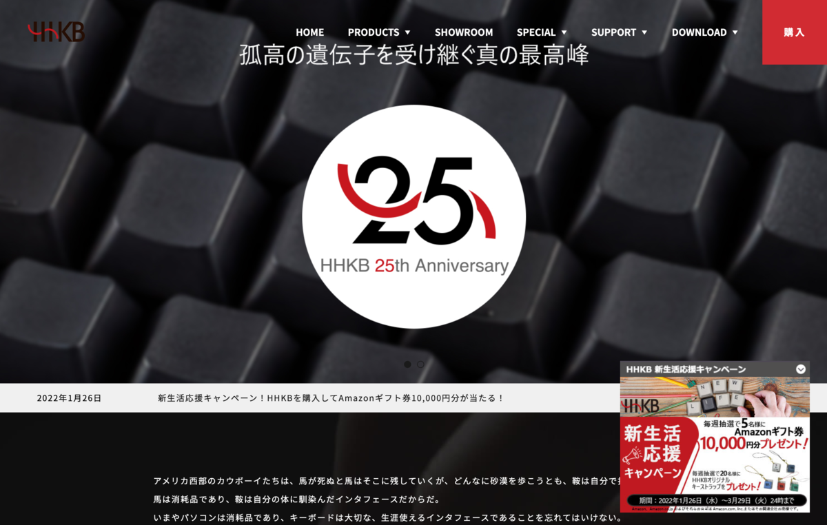 気になる！】Happy Hacking Keyboard Professional HYBRID Type-S 墨 