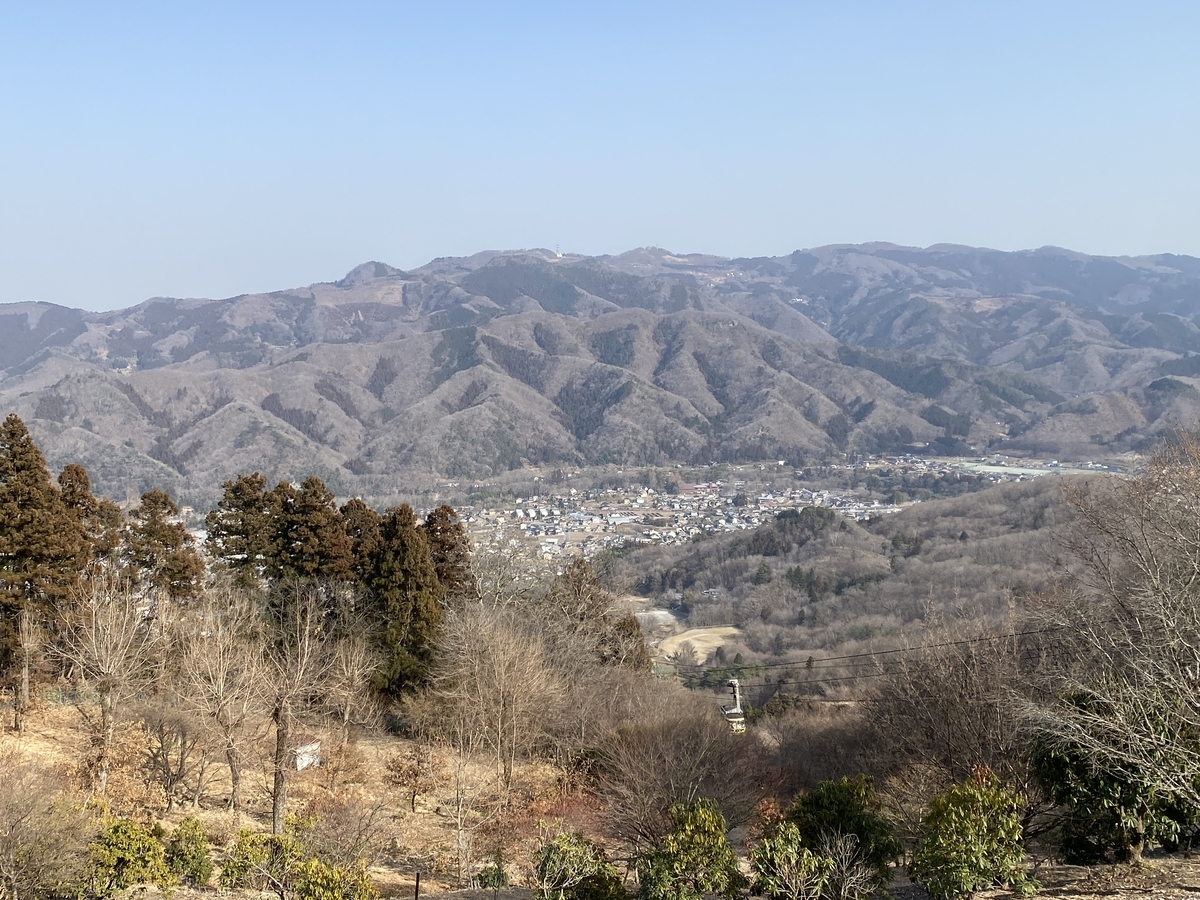 宝登山 山頂