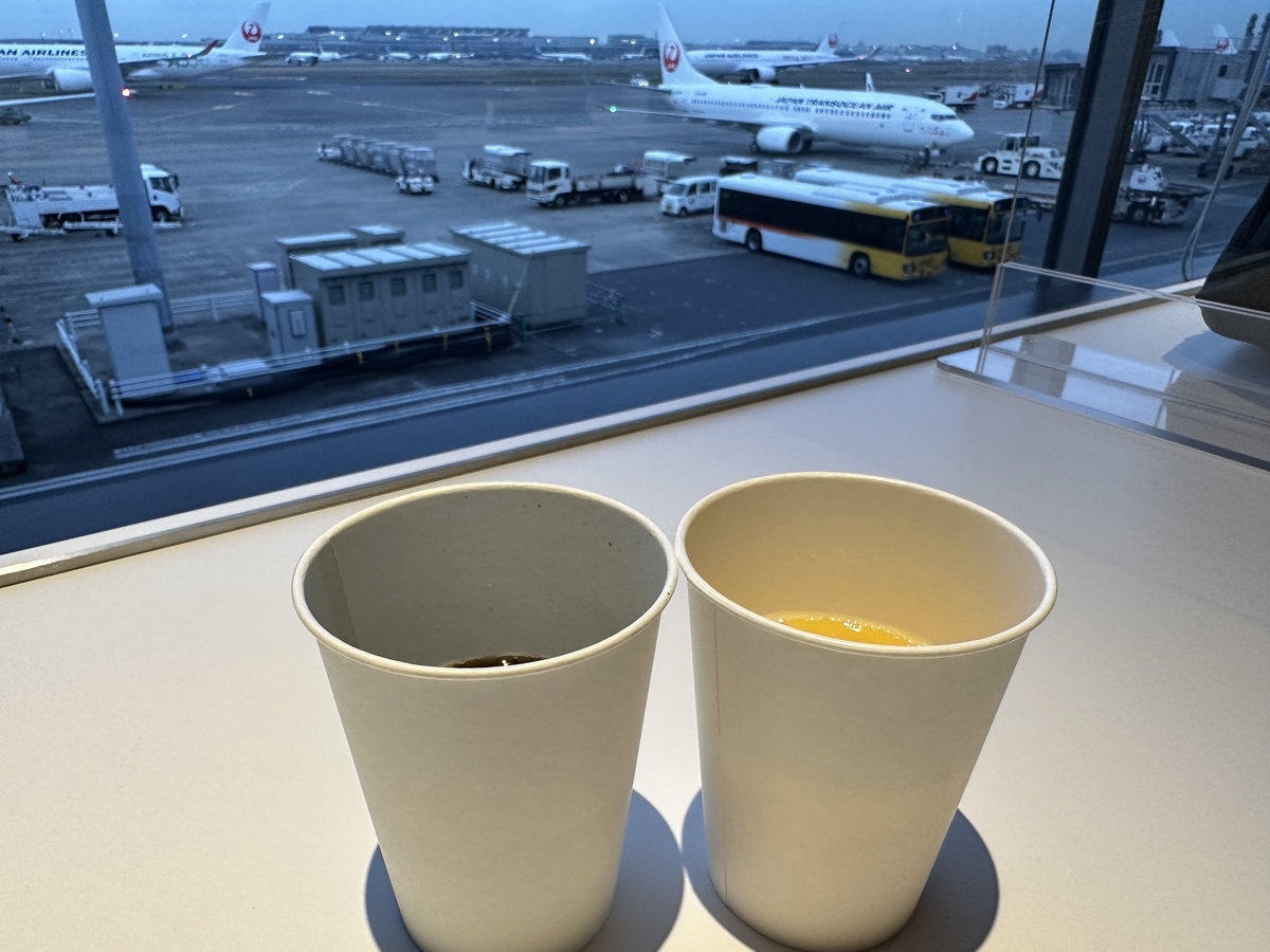 帰省 / 羽田空港
