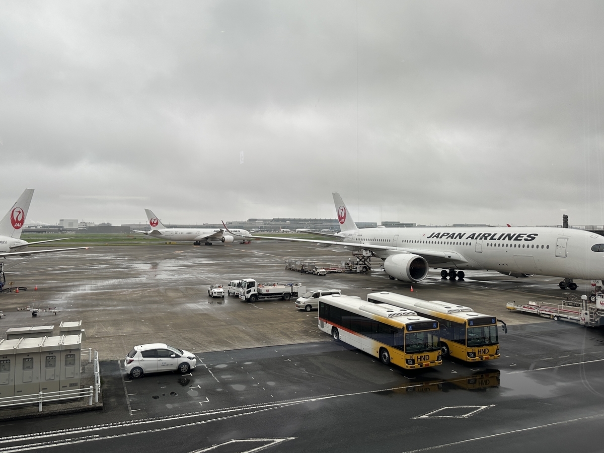 帰省 / 羽田空港