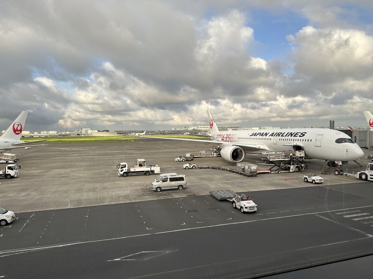 帰省 / 羽田空港