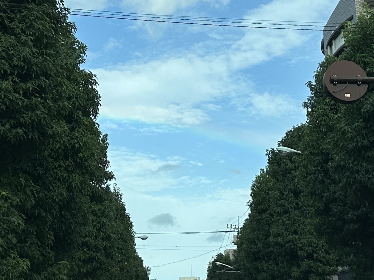 虹