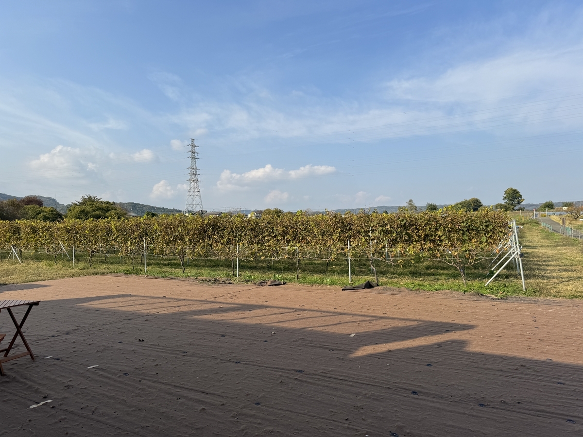 ヴィンヤード多摩