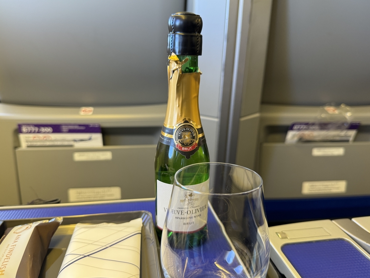 2024年ANA ダイヤモンド修行（30レグ目）