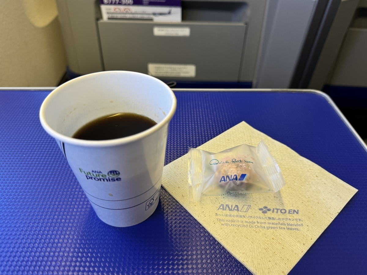 2024年ANA ダイヤモンド修行（30レグ目）