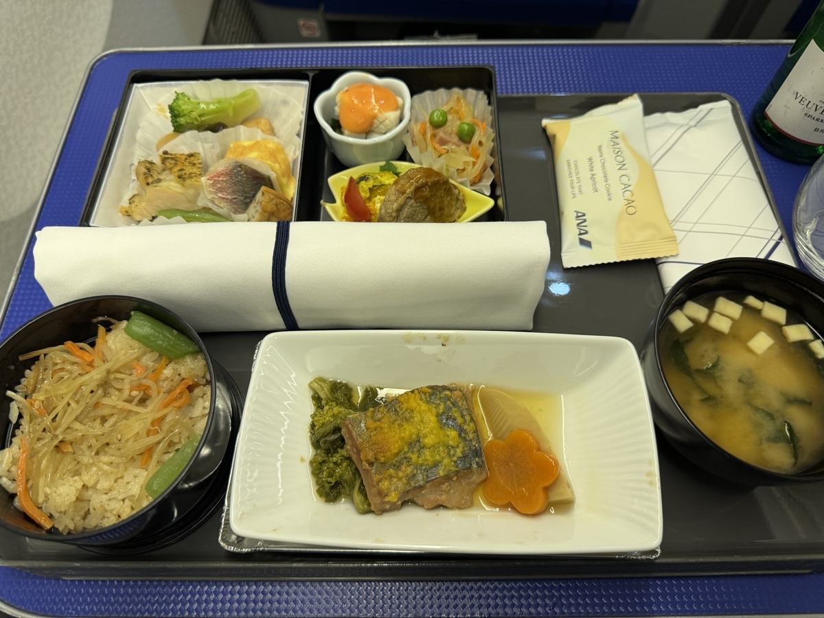 2024年ANA ダイヤモンド修行（31レグ目）