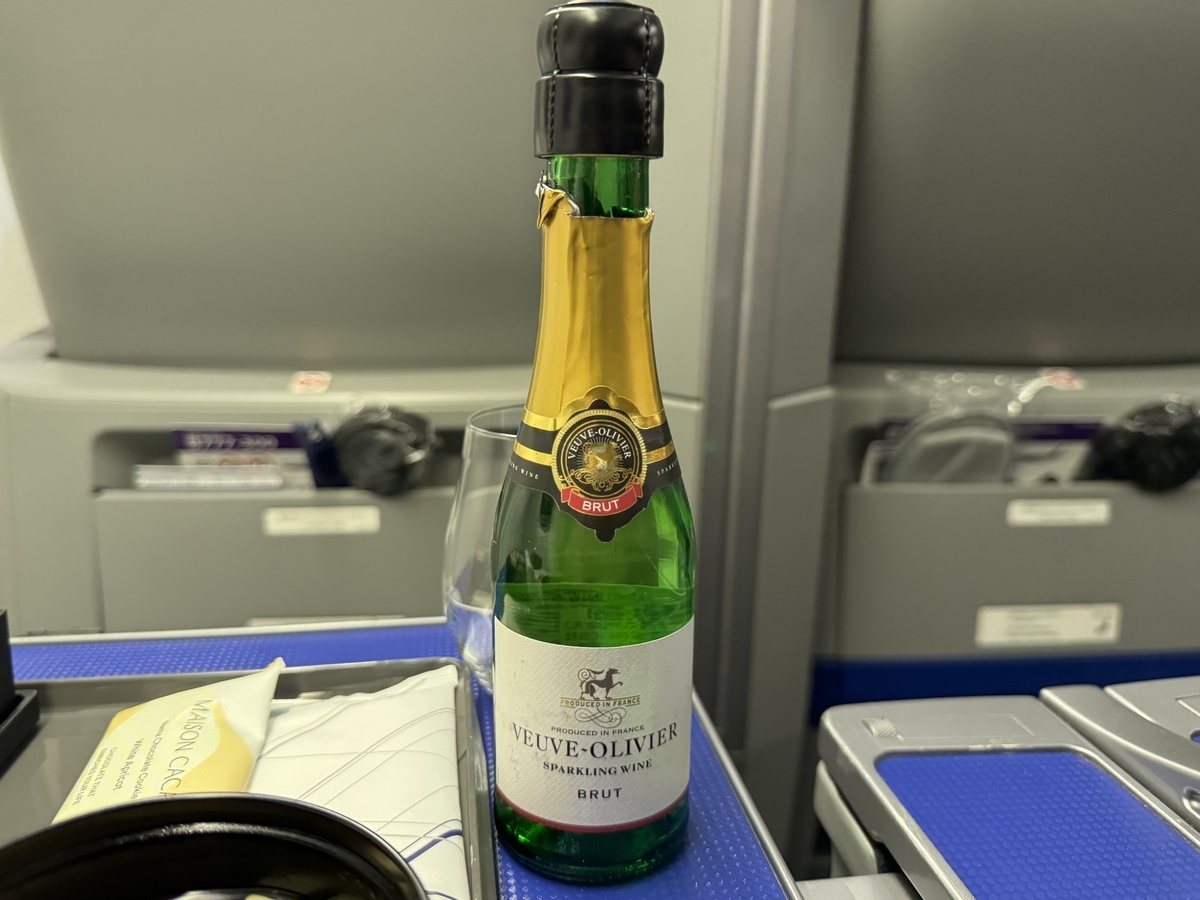 2024年ANA ダイヤモンド修行（31レグ目）