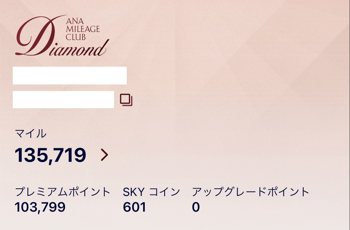 ANAダイモンド修行解脱