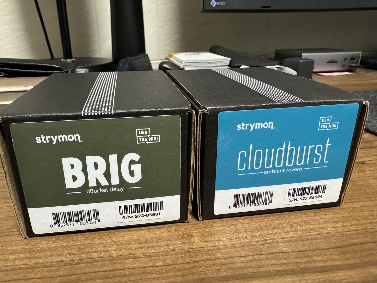 Strymon Cloudburst Ambient Reverb & Strymon BRIG bucket delay