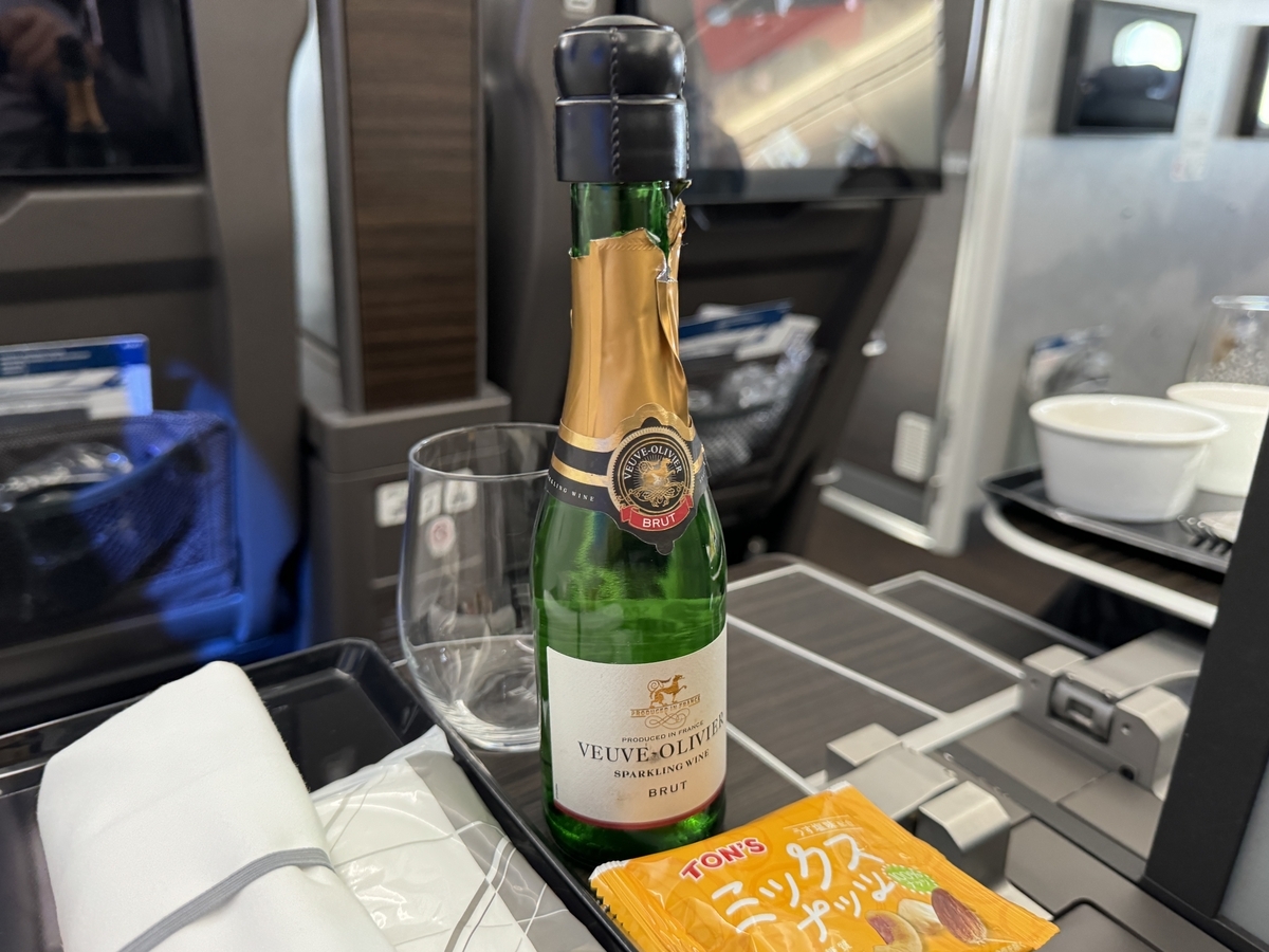 2024年ANAダイヤモンド限定特典修行（7〜8レグ目）