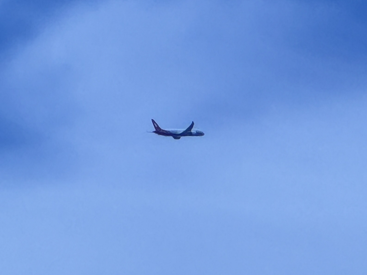 2024年ANAダイヤモンド限定特典修行（7〜8レグ目）