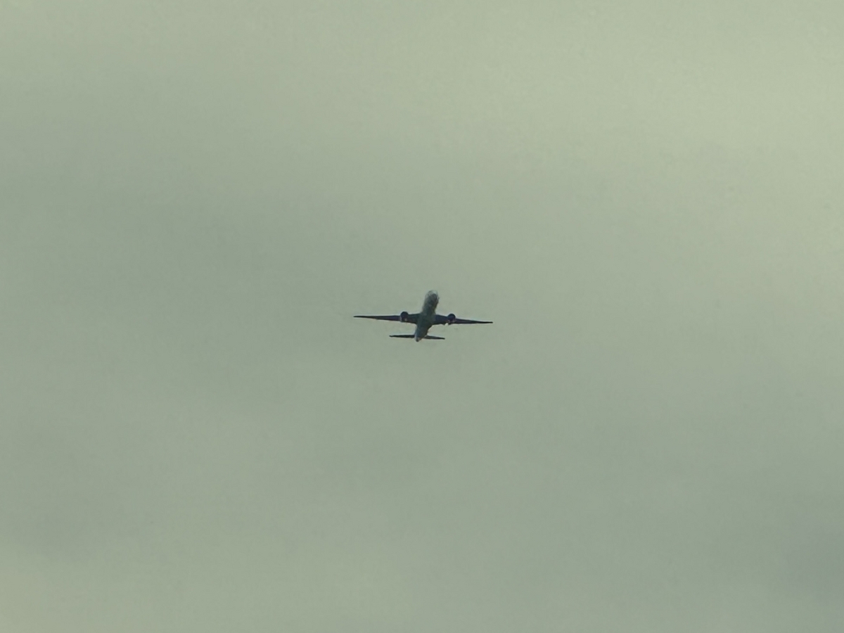 2024年ANAダイヤモンド限定特典修行（7〜8レグ目）