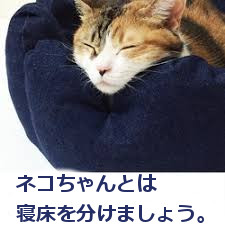 f:id:FairyForest:20190104172059j:plain f:id:FairyForest:20190104172059j:plain