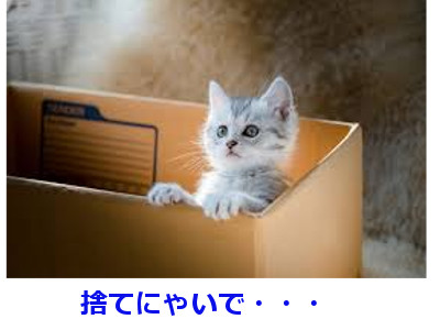 f:id:FairyForest:20190502183229j:plain f:id:FairyForest:20190502183229j:plain