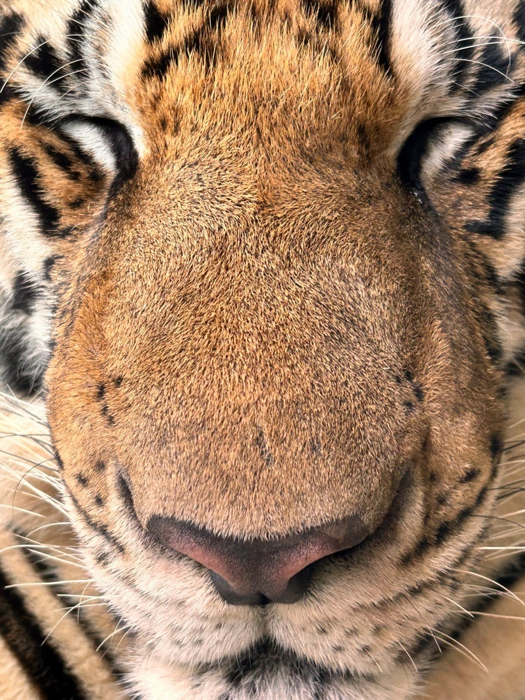 20250815203916.jpg