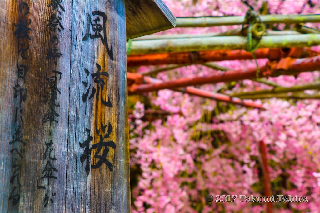 f:id:FantasyWorld:20170424201655j:image f:id:FantasyWorld:20170424201655j:image