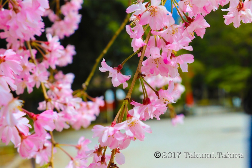 f:id:FantasyWorld:20170424201723j:image f:id:FantasyWorld:20170424201723j:image