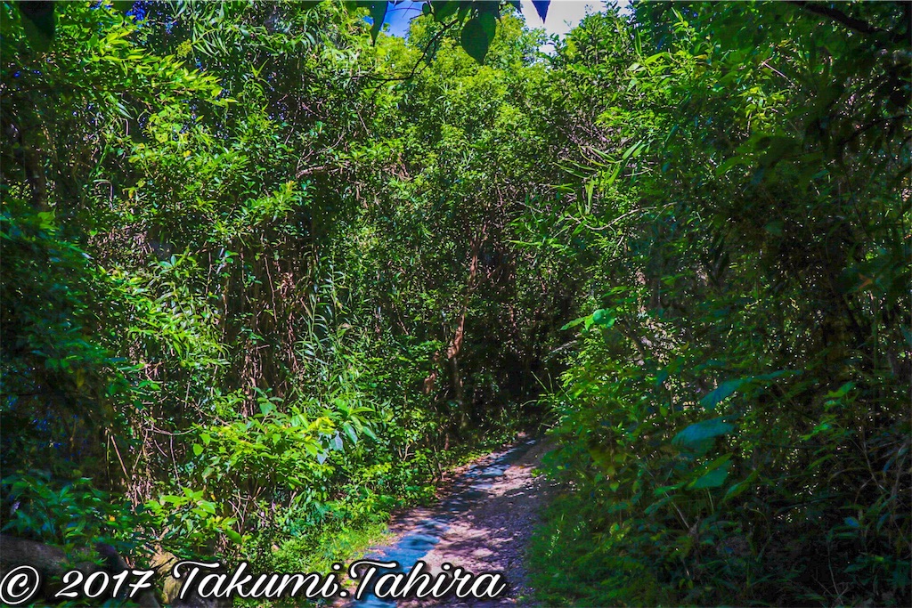 f:id:FantasyWorld:20170730145513j:image f:id:FantasyWorld:20170730145513j:image