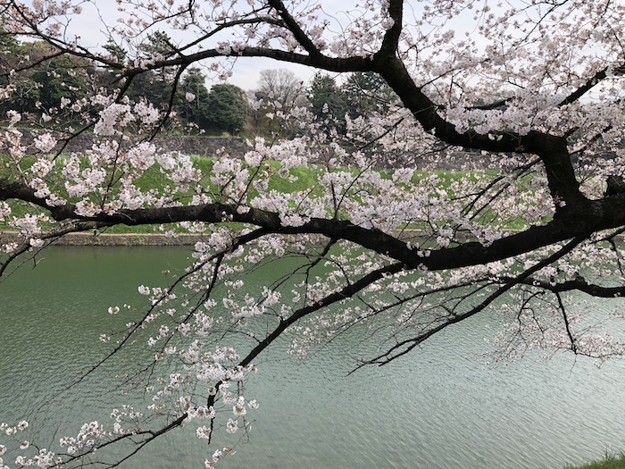 f:id:Fat-Taka:20180519104924j:plain