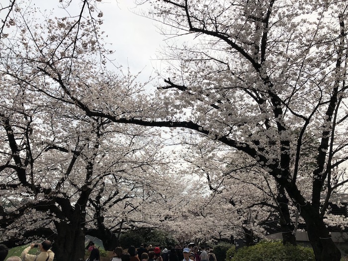 f:id:Fat-Taka:20180519105058j:plain