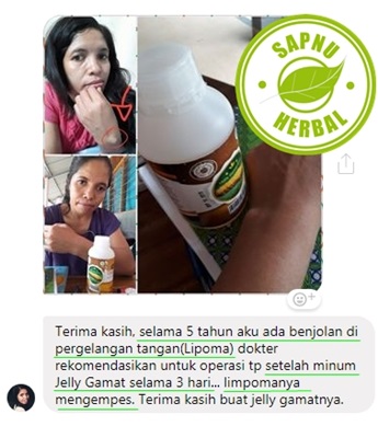 f:id:Febri02:20190515125357j:plain