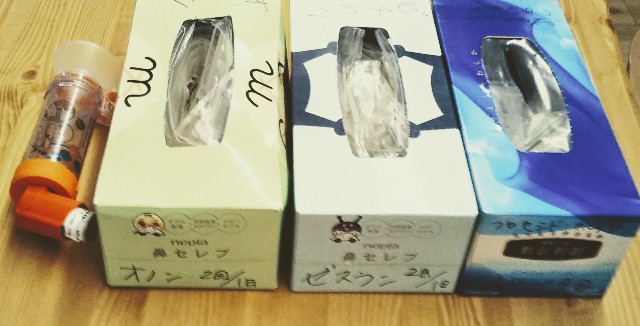 f:id:Femalepresident:20190313094100j:image