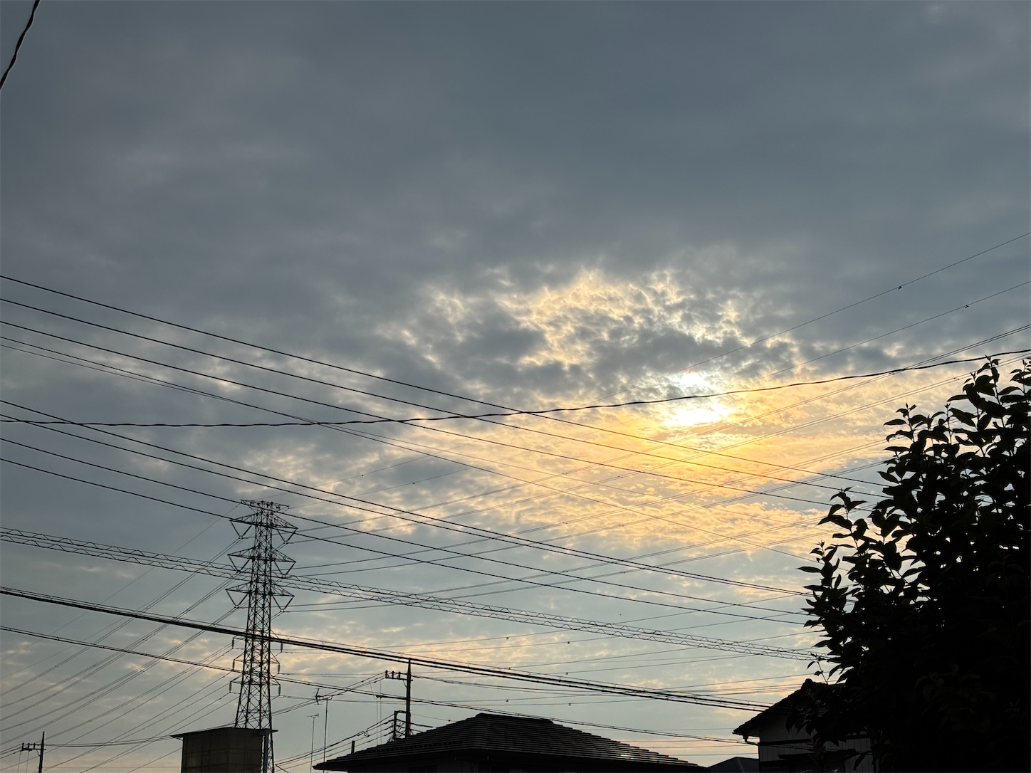 f:id:Fiction74:20250630074500j:image
