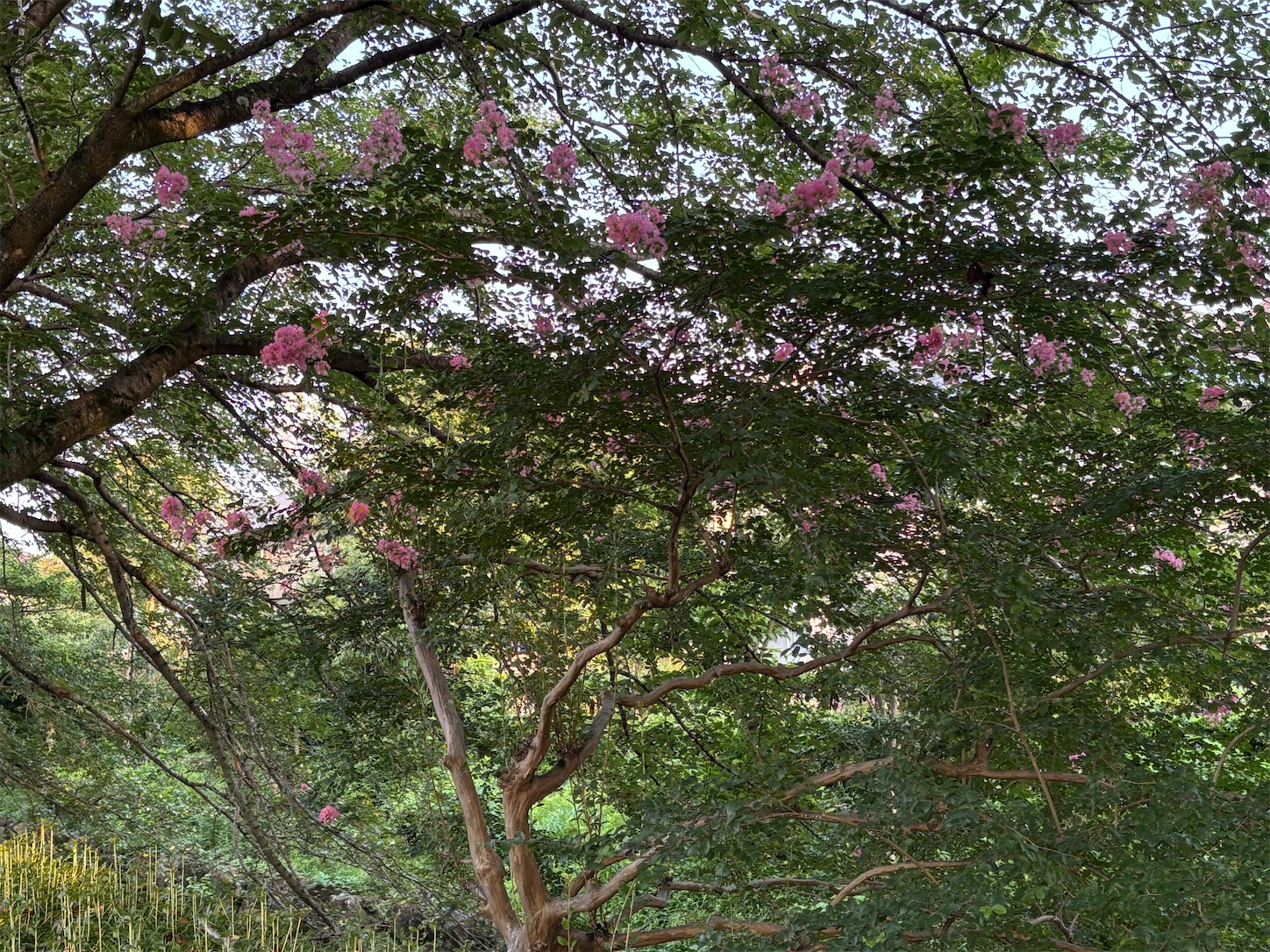 f:id:Fiction74:20250725080852j:image