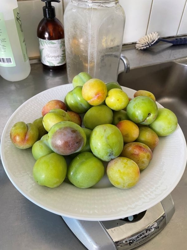 ume
