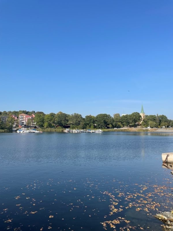 gustavsberg