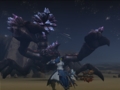 20091104055408