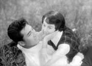 f:id:Finyl:20100131095102j:image